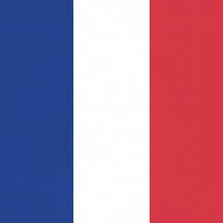 French language selection